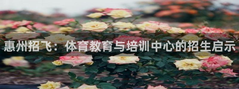 皇冠277体育：惠州招飞：体育教育与培训中心的招生启示