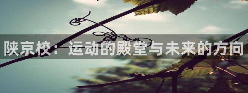 77体育官网：陕京校：运动的殿堂与未来的方向