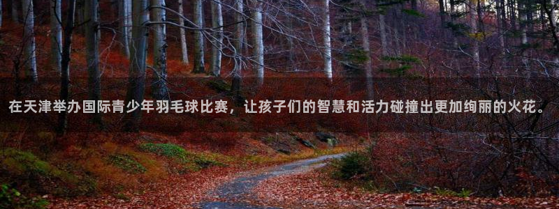 77体育官网：在天津举办国际青少年羽毛球比赛，让孩子们的智慧和活力碰撞出更加绚丽的火花。