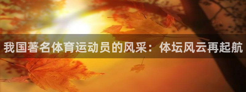 77体育官网：我国著名体育运动员的风采：体坛风云再起航